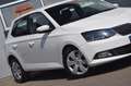 Skoda Fabia 1.4 TDI Ambition Alb - thumbnail 2