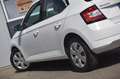 Skoda Fabia 1.4 TDI Ambition Alb - thumbnail 23