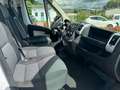 Fiat DUCATO MH2 2.3MJT 160CV E6D - PREZZO + IVA!!! Wit - thumbnail 6