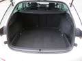 Skoda Octavia Combi Clever 2.0TDi 110kW AHK NAVI White - thumbnail 9