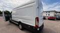 Ford Transit Kasten 2,0 EcoBlue Heck L4H3 350 Trend Weiß - thumbnail 18
