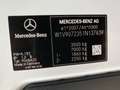Mercedes-Benz Sprinter 319 Doka Pritsche AUT*Klima*AHK 3,5t* Weiß - thumbnail 17