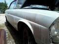 Oldtimer Mercedes Benz MERCEDES W111 COUPÉ 250 SE - thumbnail 13