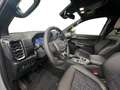 Ford Ranger Sondermodell 3,0L V6 **MS-RT** inkl. Rollo Grau - thumbnail 14