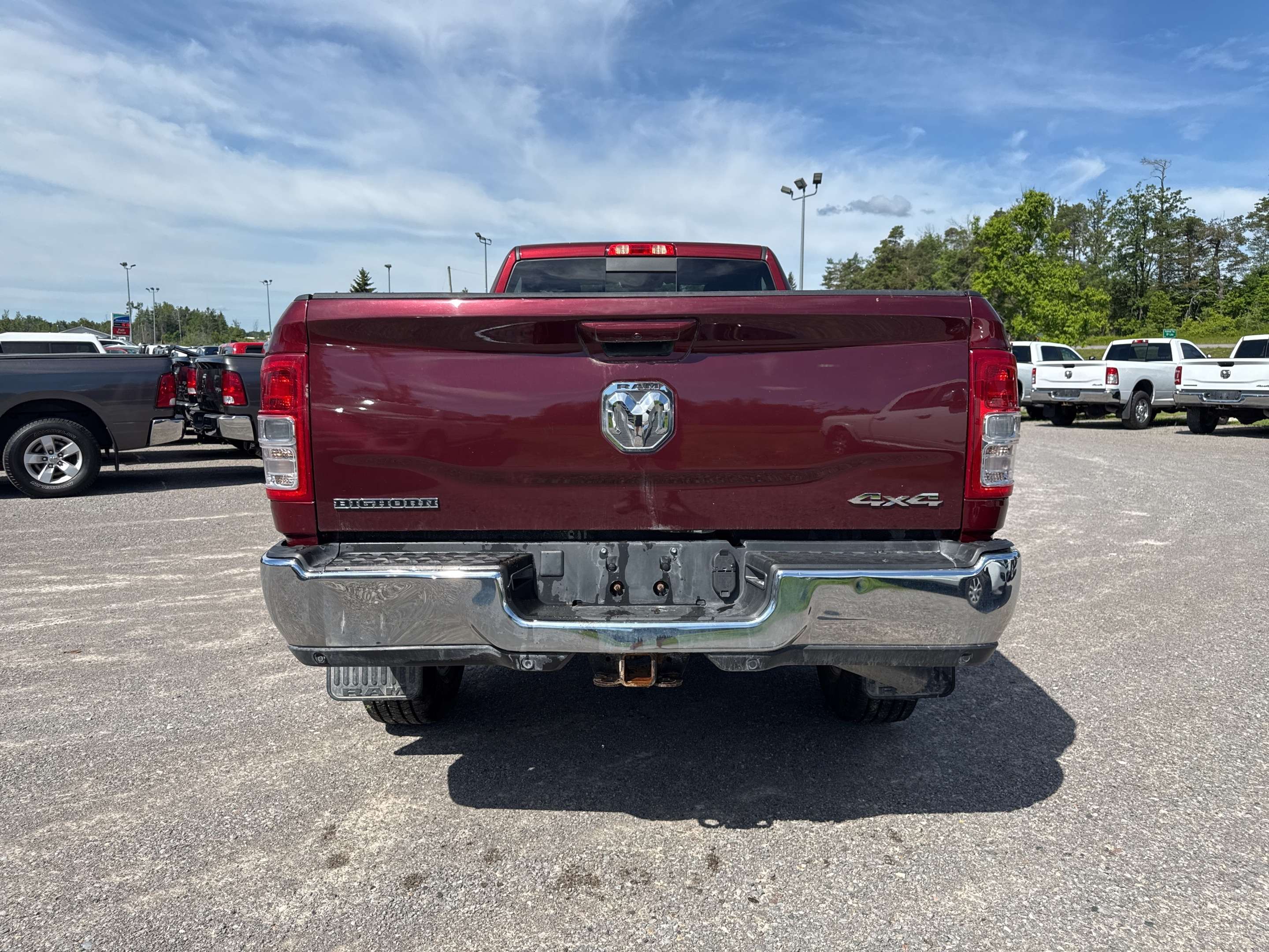 Image 11