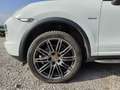 Porsche Cayenne Diesel Platinum Edition Aut. bijela - thumbnail 12