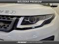 Land Rover Range Rover Evoque 2.0 TD4 150 CV 5p. Business Edition Pure Bianco - thumbnail 39