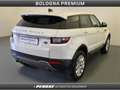 Land Rover Range Rover Evoque 2.0 TD4 150 CV 5p. Business Edition Pure Bianco - thumbnail 2