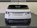Land Rover Range Rover Evoque 2.0 TD4 150 CV 5p. Business Edition Pure Bianco - thumbnail 7