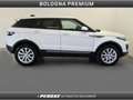 Land Rover Range Rover Evoque 2.0 TD4 150 CV 5p. Business Edition Pure Bianco - thumbnail 6