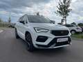 CUPRA Ateca TSI DSG AHK Beats TopView Kessy FullLink Klima Weiß - thumbnail 6
