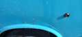 Fiat 238 Azul - thumbnail 20