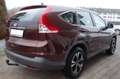 Honda CR-V Comfort 4WD.AHK.Allwetterreifen.Top Zustand Bruin - thumbnail 5
