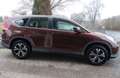 Honda CR-V Comfort 4WD.AHK.Allwetterreifen.Top Zustand Bruin - thumbnail 4