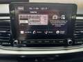 Kia Rio 1.0T DCT VISION LED CONNECT AndroidAuto/AppleCarPl Blau - thumbnail 10