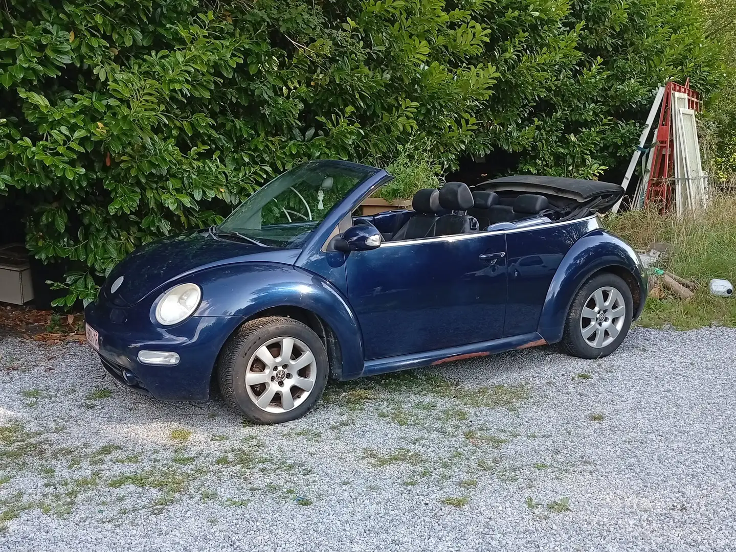 Volkswagen New Beetle New Beetle Cabriolet 1.9 TDI Bleu - 1