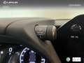 Lexus UX 300h F Sport+ Bitono 2WD Bruin - thumbnail 19