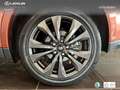 Lexus UX 300h F Sport+ Bitono 2WD Brun - thumbnail 10