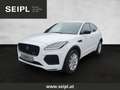 Jaguar E-Pace 2.0DI4 D165 AWD R-Dynamic Black Aut. Panodach, ... Weiß - thumbnail 1