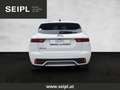 Jaguar E-Pace 2.0DI4 D165 AWD R-Dynamic Black Aut. Panodach, ... Weiß - thumbnail 5