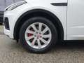 Jaguar E-Pace 2.0DI4 D165 AWD R-Dynamic Black Aut. Panodach, ... Weiß - thumbnail 6