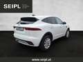 Jaguar E-Pace 2.0DI4 D165 AWD R-Dynamic Black Aut. Panodach, ... Weiß - thumbnail 4