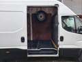 Iveco Daily 70C18 3.0D L4H3 Hi-Matic Euro 6 GVW 7000 kg (2) Blanc - thumbnail 10