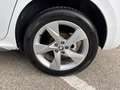 Skoda Kamiq Kamiq 1.0 G-Tec Style Bianco - thumbnail 11