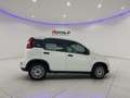 Fiat Panda 1.0 FireFly S&S Hybrid SENZA FINANZIAMENTO Weiß - thumbnail 5