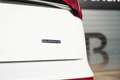 Audi Q5 40 TDI quattro S-line S-tronic/MATRIX/AHK/SHZ/A... Weiß - thumbnail 13