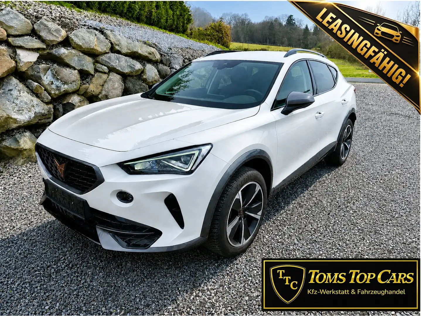 CUPRA Formentor Anhängevorr, Rückfahrk., Voll-LED Weiß - 2