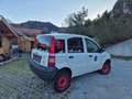 Fiat Panda Panda Van 4x4 Weiß - thumbnail 4