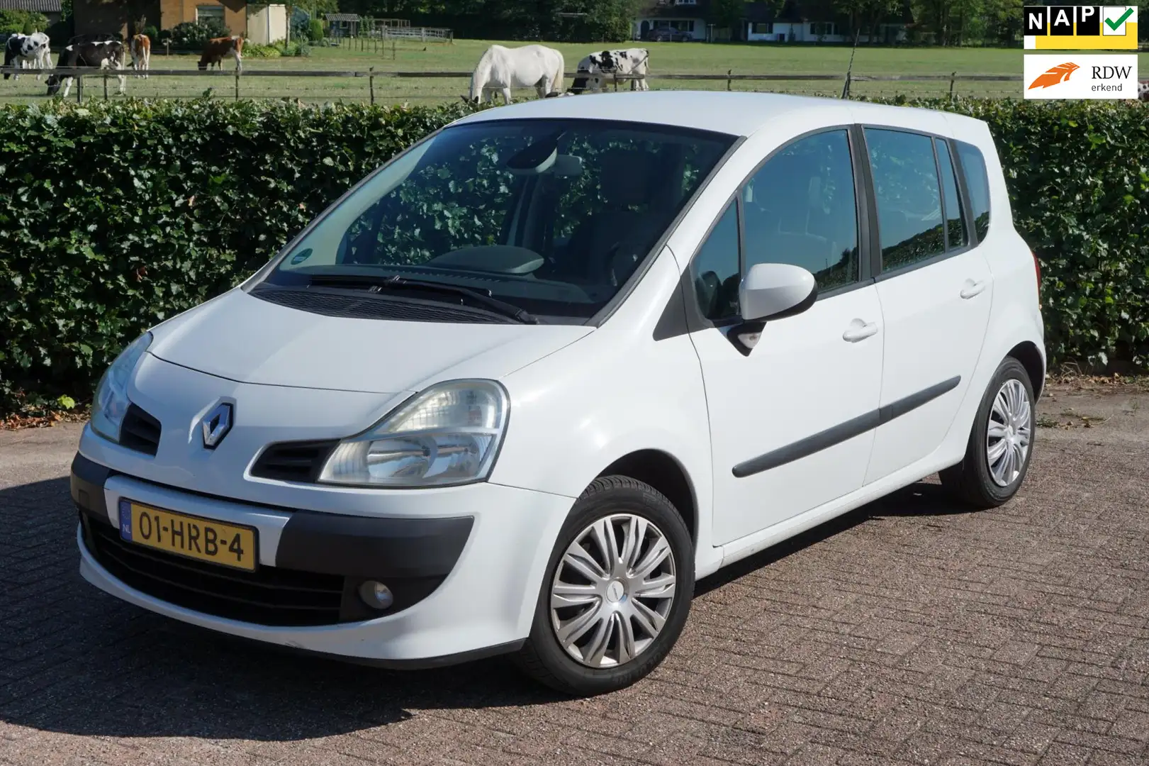 Renault Grand Modus 1.2 TCE Dynamique|Apk 2026|Rijdt Goed|Clima Wit - 1