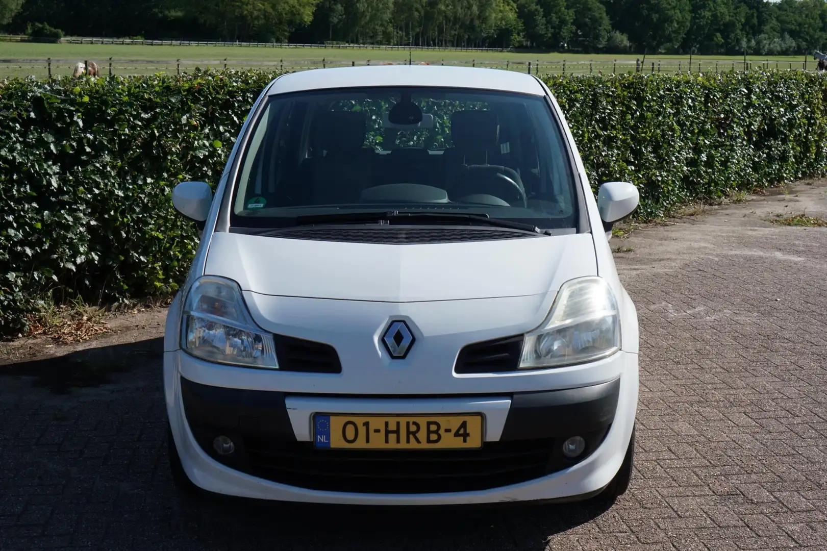 Renault Grand Modus 1.2 TCE Dynamique|Apk 2026|Rijdt Goed|Clima Wit - 2