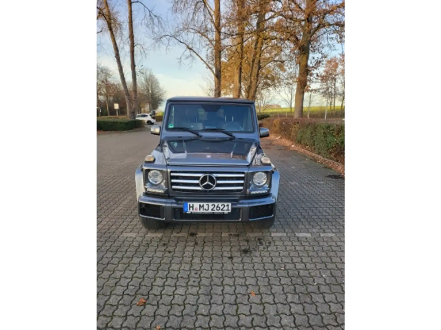 Mercedes-Benz G 350 G350d AMG-Paket Designo AHK Belüftung Schiebedach Grau - 2