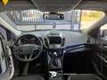 Ford Kuga 2.0 tdci Titanium s&s awd 150cv powershift Biały - thumbnail 12