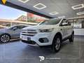Ford Kuga 2.0 tdci Titanium s&s awd 150cv powershift Biały - thumbnail 3