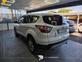Ford Kuga 2.0 tdci Titanium s&s awd 150cv powershift Biały - thumbnail 6