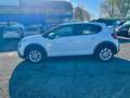 Citroen C3 BlueHDi 100 S&S Van N1 2POSTI + IVA Bianco - thumbnail 6