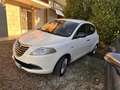 Lancia Ypsilon Ypsilon 1.3 mjt Platinum s Blanco - thumbnail 2