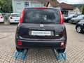 Fiat Panda Lounge Braun - thumbnail 6