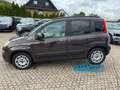 Fiat Panda Lounge Braun - thumbnail 4