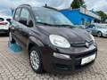 Fiat Panda Lounge Braun - thumbnail 1