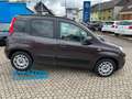 Fiat Panda Lounge Braun - thumbnail 8