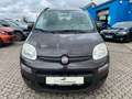 Fiat Panda Lounge Braun - thumbnail 2