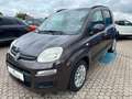 Fiat Panda Lounge Braun - thumbnail 3