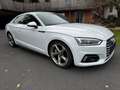 Audi A5 Coupé 2,0 TFSI Quattro  S-Line Außen/Innen/Fahr... Blanc - thumbnail 5