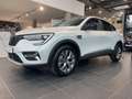 Renault Arkana EVOLUTION Hybrid 140 EDC *Allwetter *PDC* Белый - thumbnail 2