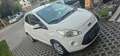 Ford Ka/Ka+ Ka 1.2 Titanium Weiß - thumbnail 2