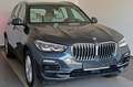 BMW X5 xDrive 45e Leder,Navi,LED,Kamera,Kamera,ACC Gris - thumbnail 7